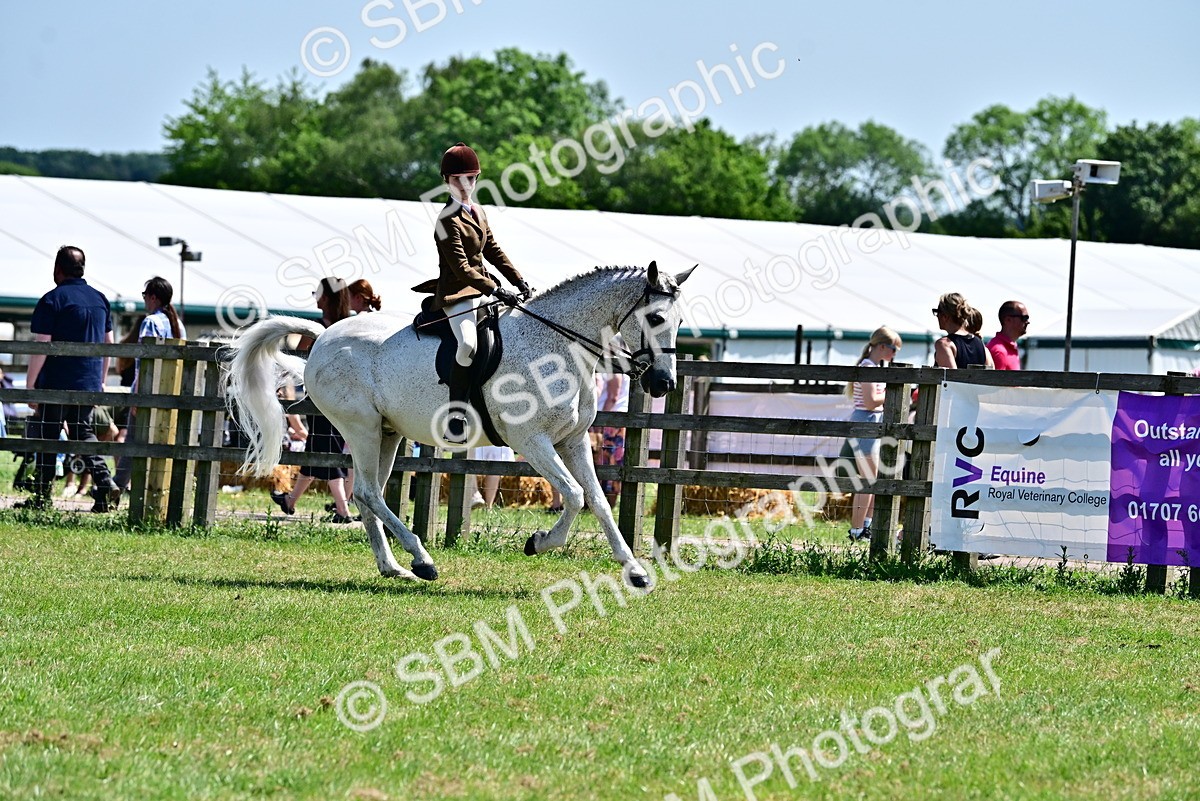 SBM_15368 - Class 95-97 - BSPS LHS Performance Ponies