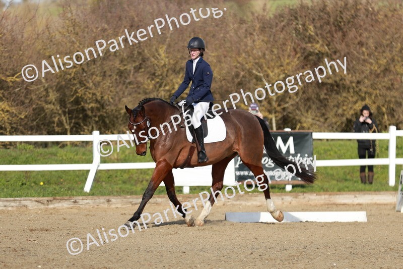 20260314-4417 - DR4 - Prelim 2