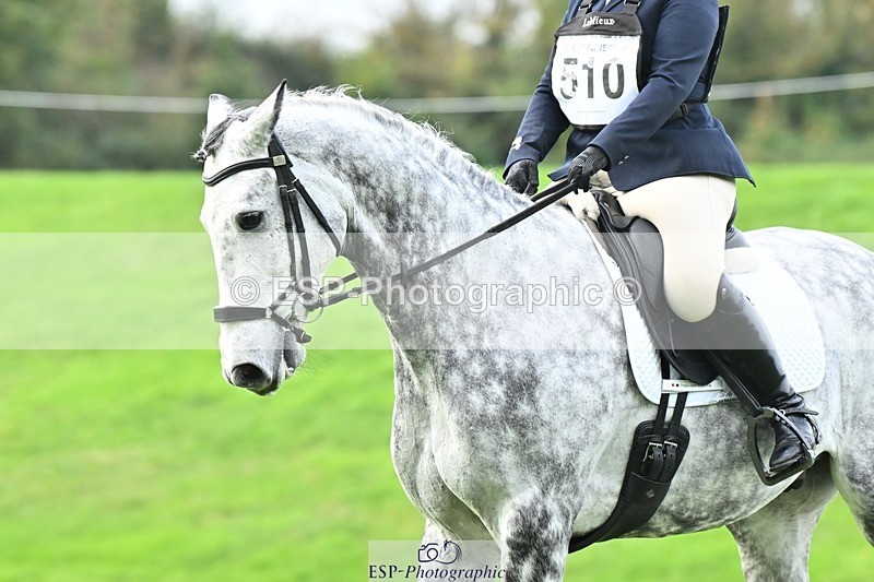 241024-115206-02512 - 510-Kathryn.Virjee-BROWNSTOWNS.SEAWATCH