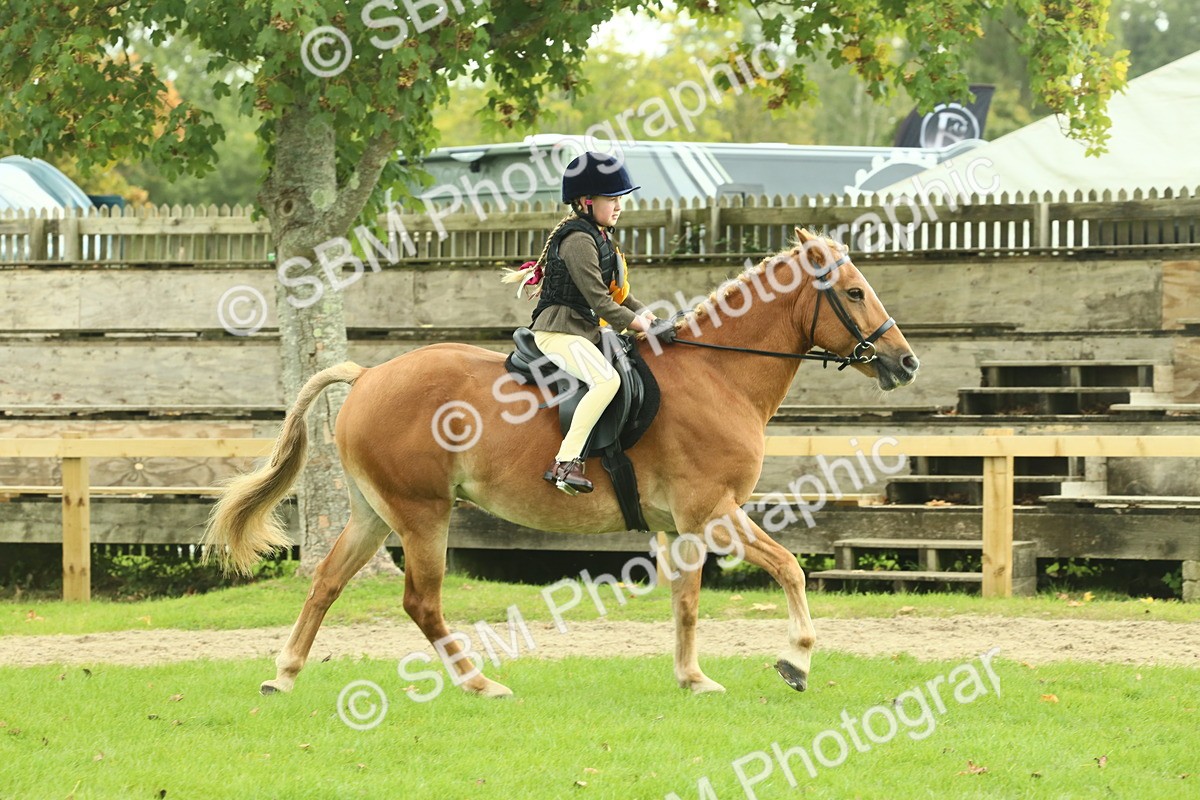SBM_62572 - S62 - Foreign Breeds Ridden