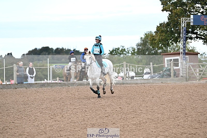 241012A-102057-00205 - 70cm