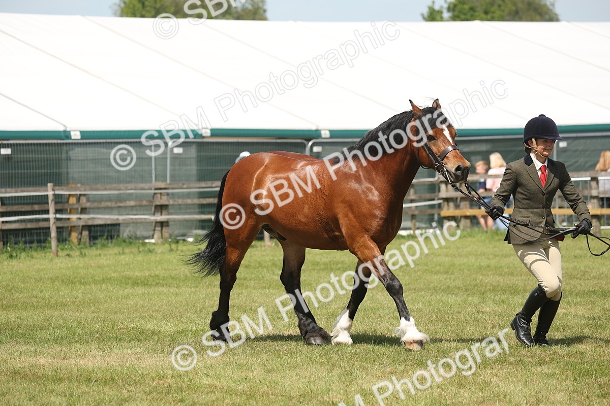 SBM_06975 - Class 26-30 - Mountain and Moorland Ridden