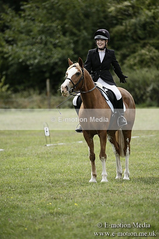 BVR080918 79 - BVRC Novice Dressage & CR 08/09/18