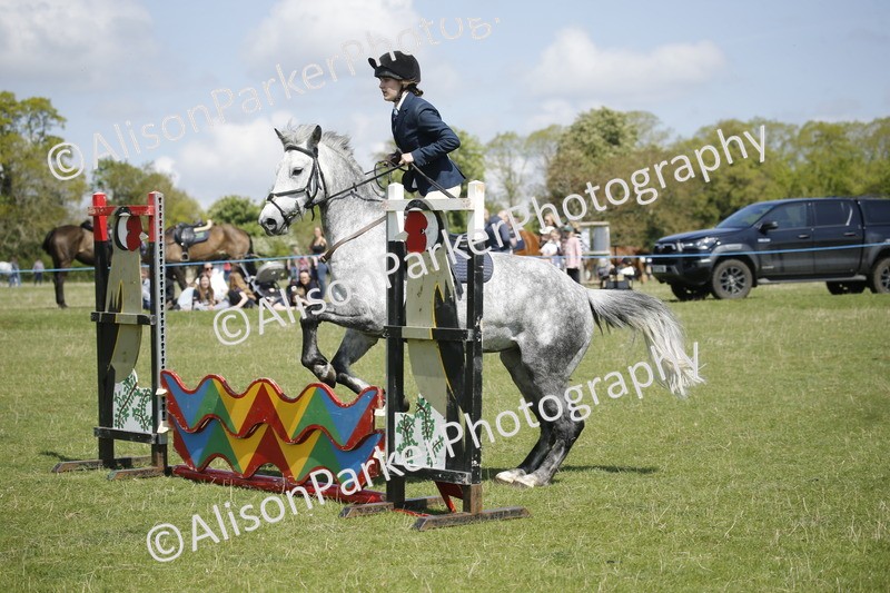 20250427-3463 - Class 14 - Absolute Novice 70cm