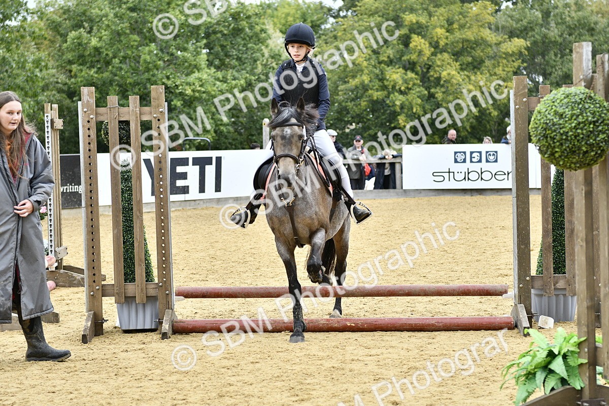 SBM_67977 - J2b - Mini Tour Junior Pony 30cm championship