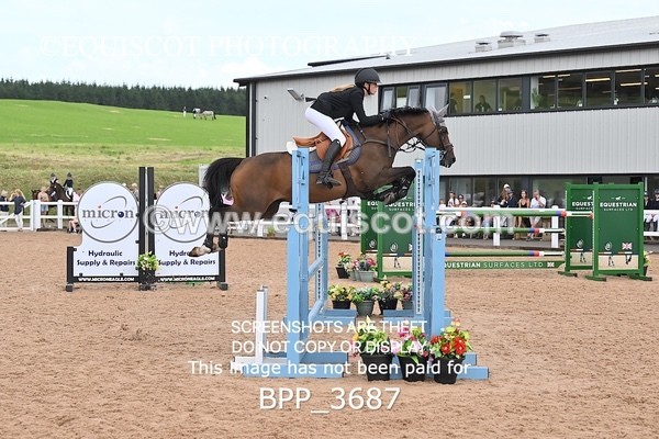 BPP_3687 - QUEEN STAR + GILTON DES ISLOTS