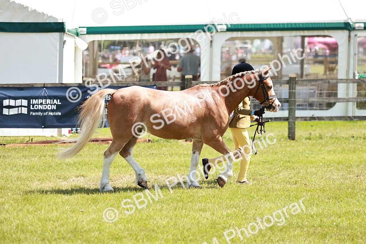 SBM_13633 - Class 108-109 - BSPS LIHS Open Gradle & Nursery Stakes