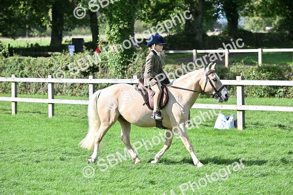 SBM_48409 - S21 - Novice & Newcomers First Ridden