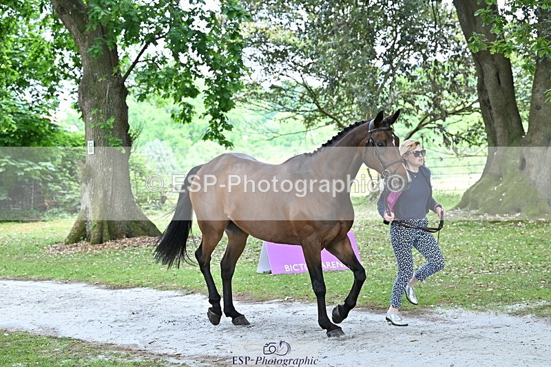 250521A-152838-00534 - B-368-Katey.Cuthbertson-PROSECCO