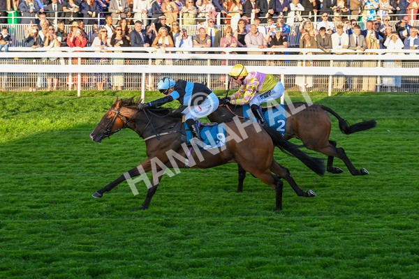 260724-Race 6-Duran-5546 - Race 6 8.20pm Sky Bet Go-Racing-In-Yorkshire Summer Festival Handicap