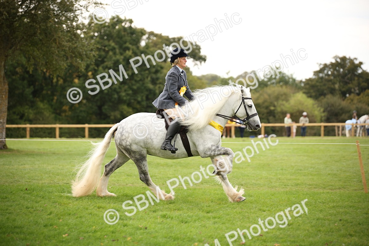 SBM_73595 - S68 - Traditional Cob Ridden
