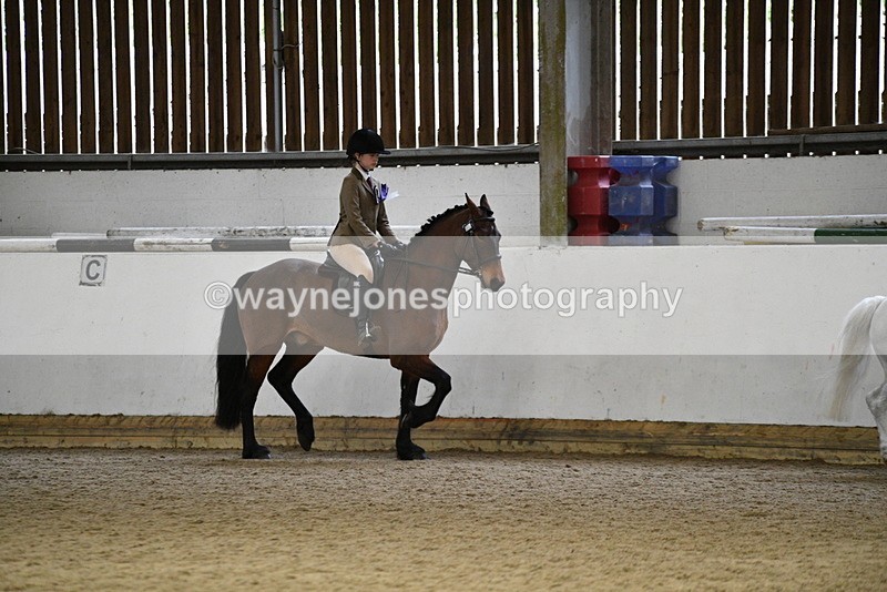 WJ5_7420 - Class 11 Ridden PC - RC Pony