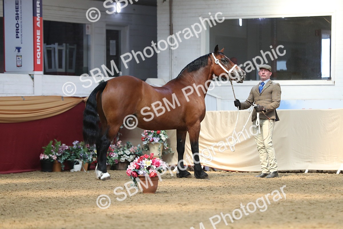 SBM_15203 - Class 501 M&M IH Supreme Final