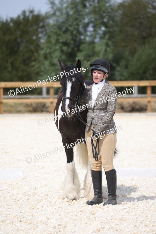 20260802-1512 - Class 16 - Best Horse or Pony