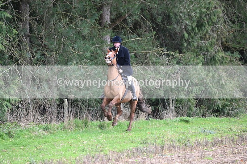 WJ6_9479 - Line Four