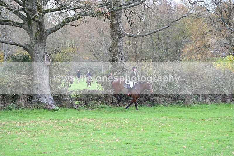 WJ6_1449 - Camera 1