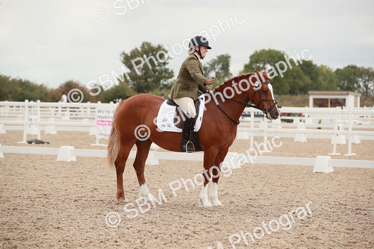 SBM_06110 - Class 33 - Elementary 1