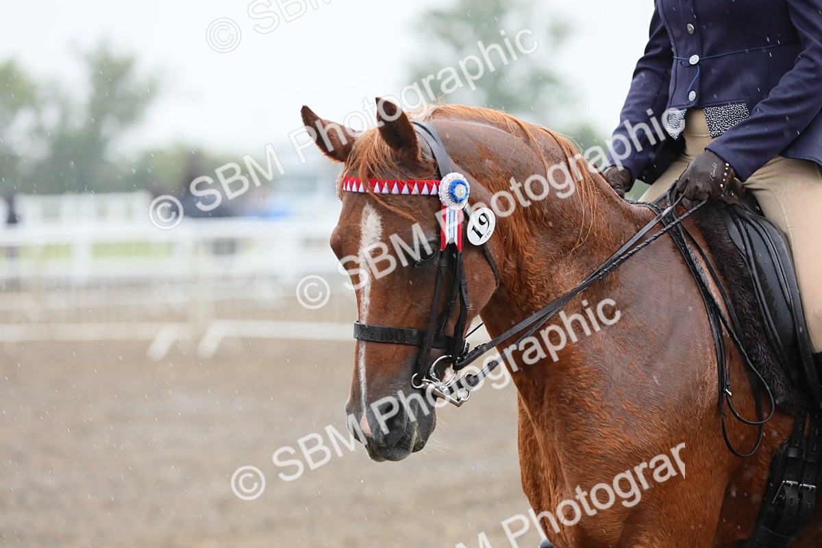 SBM_20362 - Class 803 - Ridden Combination 65+