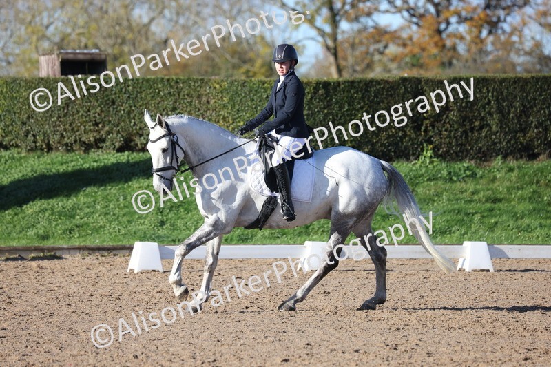 20251102-0456 - Class 3 - Novice 5