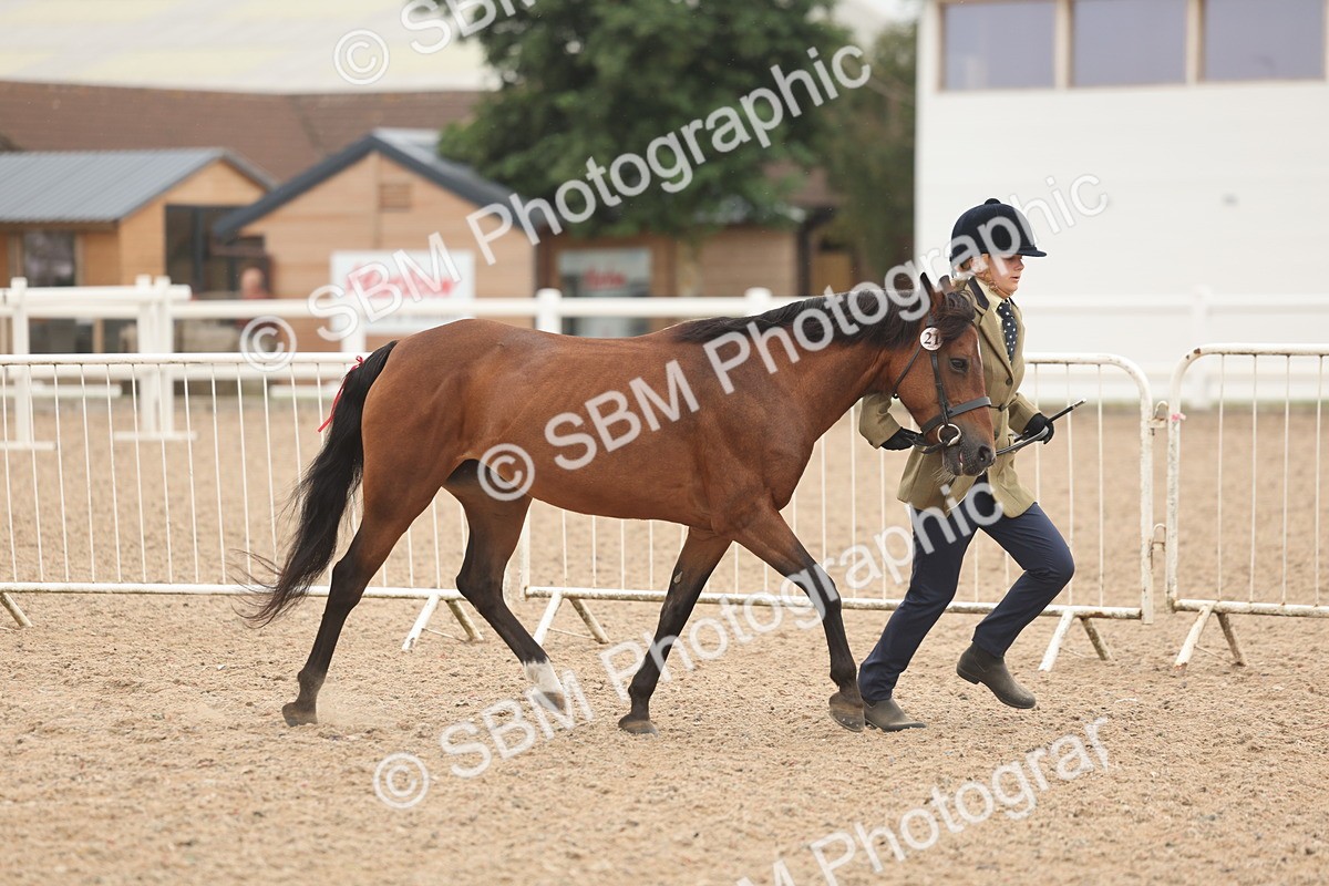 SBM_00501 - Class 13 Young Handler