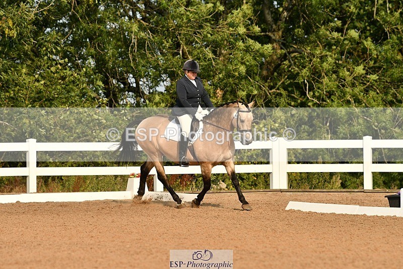 250817-092517-06909 - 082-Sarah.DavisWinston.Classic.Gold