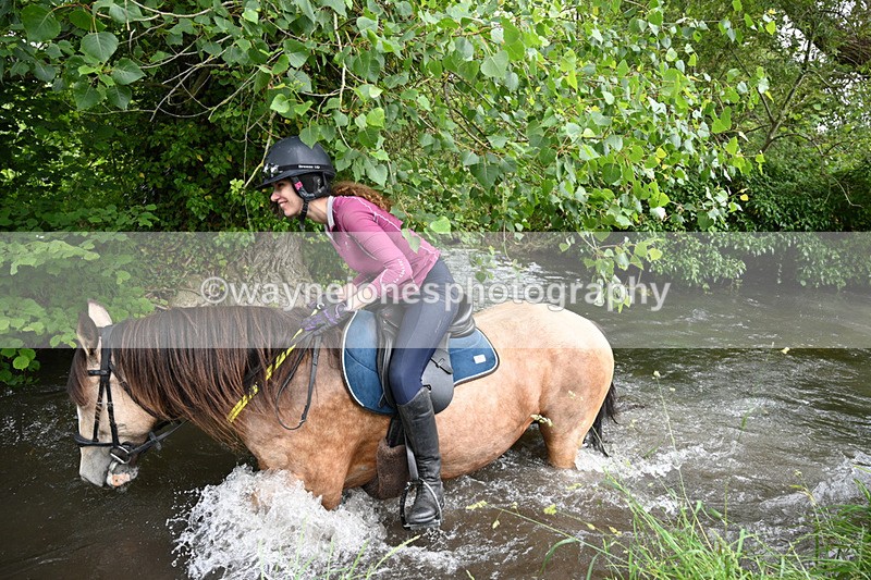 WJ7_2044 - Camera 2 Water Crossing
