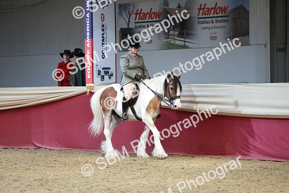 SBM_06953 - Class 10R - Regional Ridden Diamond