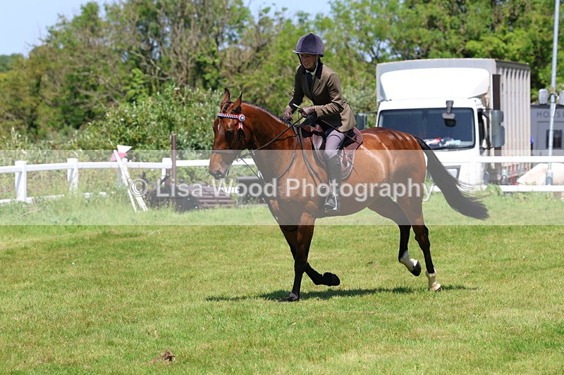 3E7A7527 - Class 31: Working Hunter Cob/Riding Horse