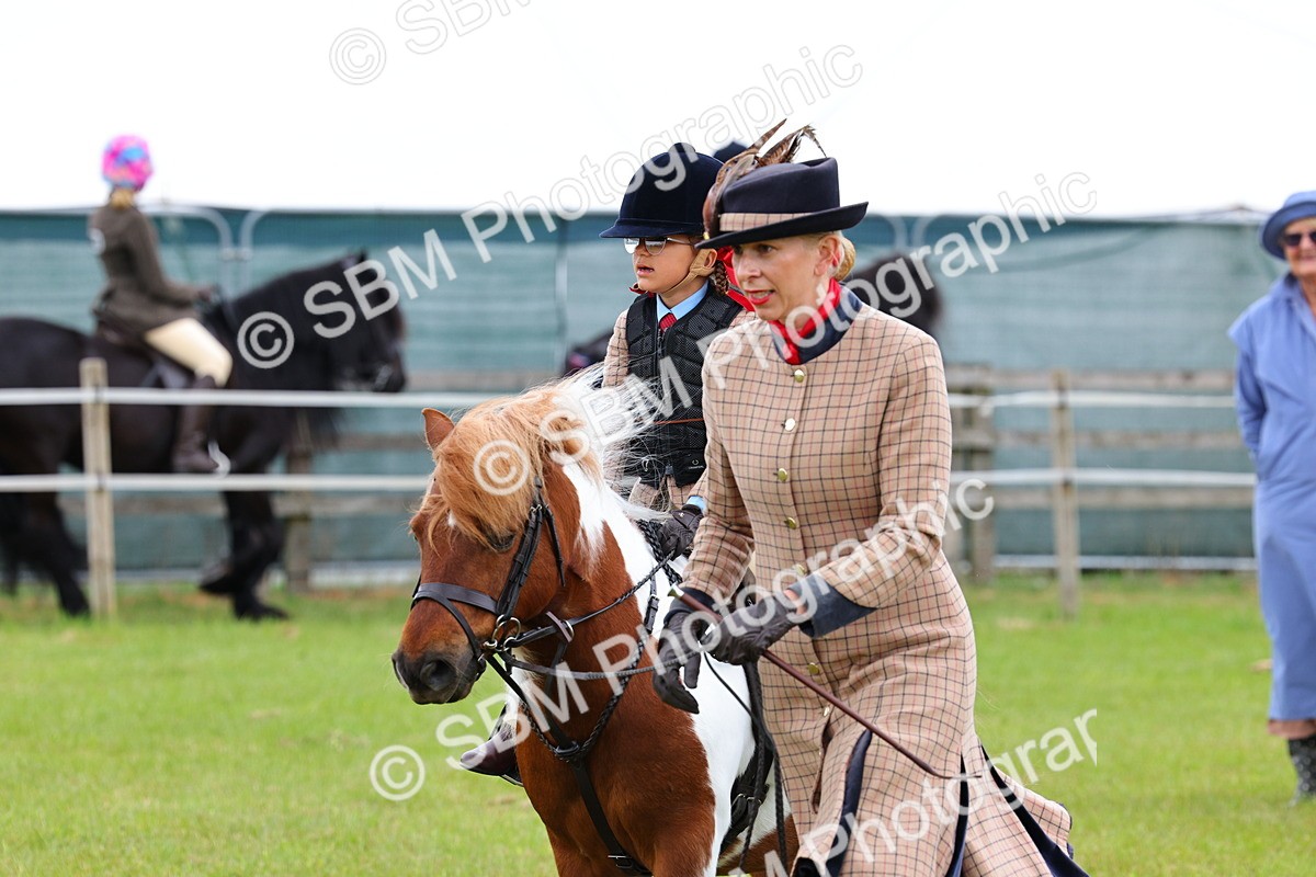 SBM_08224 - Class 42-43 - LIHS BSPS Heritage Working Sports Pony