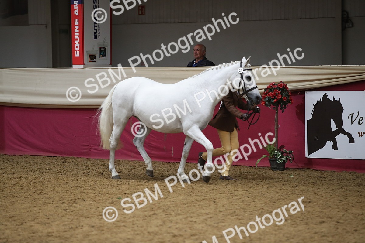 SBM_05265_Class 8r - Regional - IH Veteran - Vicky Gutteridge