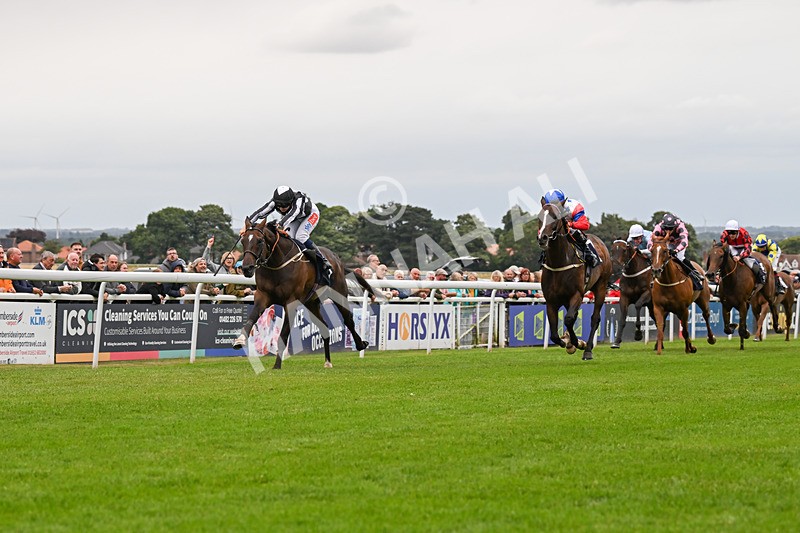 150824-Race 5-Pons Aelius-8296 - Race 5