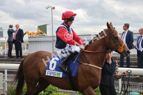 yr11062022r8-8 - Race 8 5.25pm Clean up with PPS Stakes