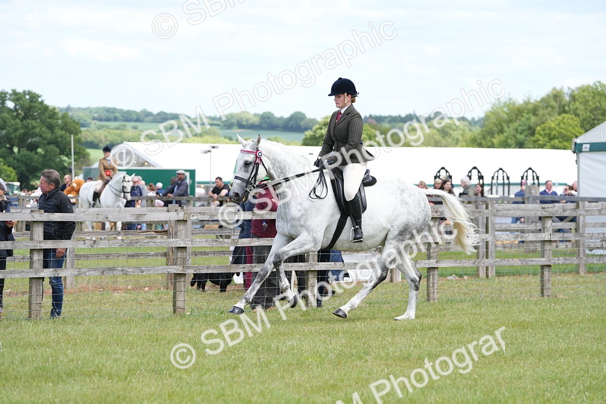 SBM_16184 - Class 105-106 - RIHS Riding Horses