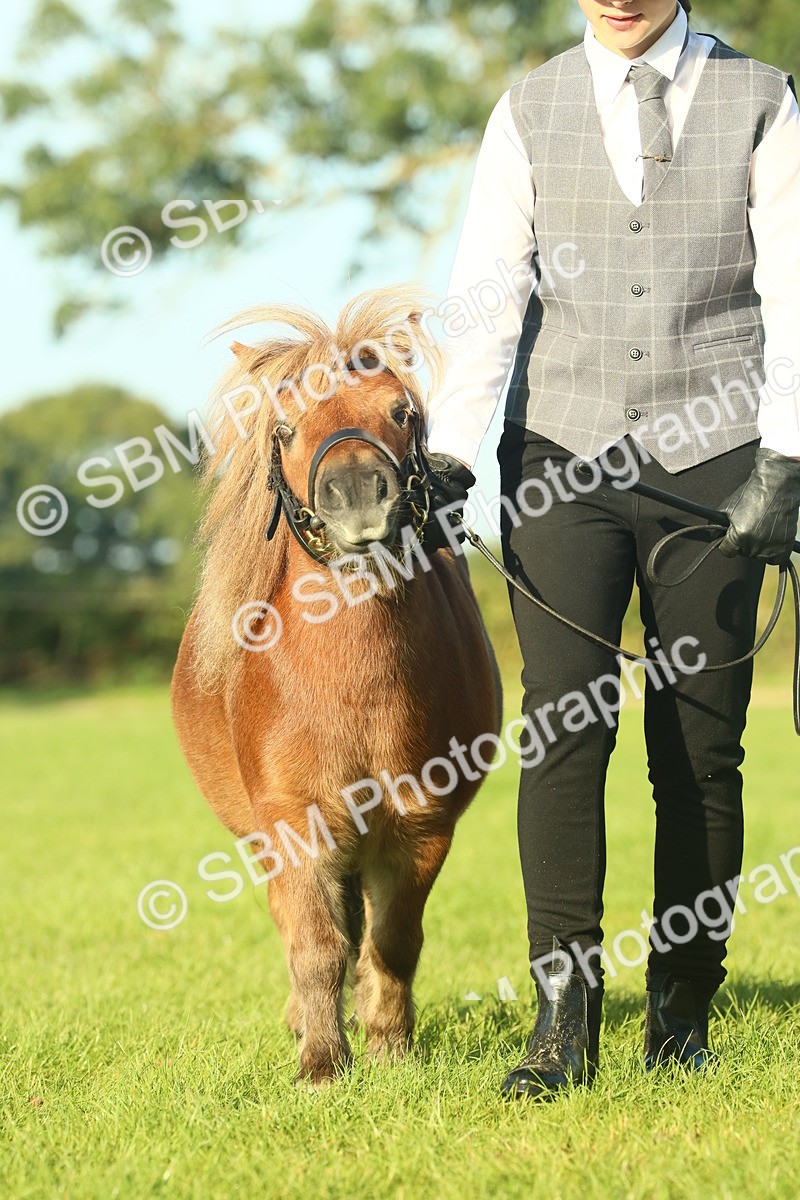 SBM_58439 - S37 - Starters In Hand Showing