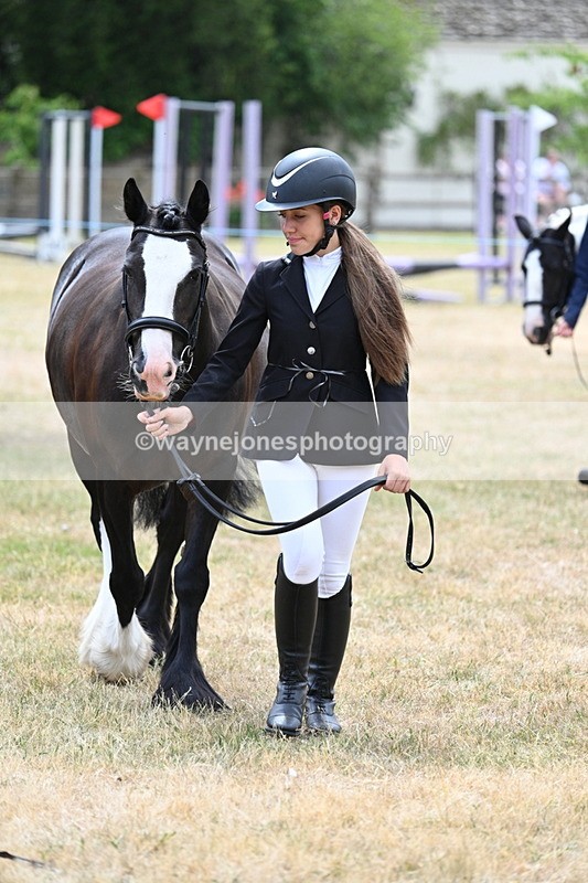 WJ7_1397 - Class 4 Prettiest Mare up to 14.2hh in hand