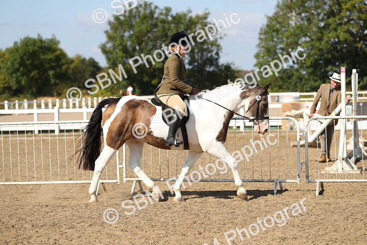 SBM_03113 - Class 44 Riding Club Horse/ Pony