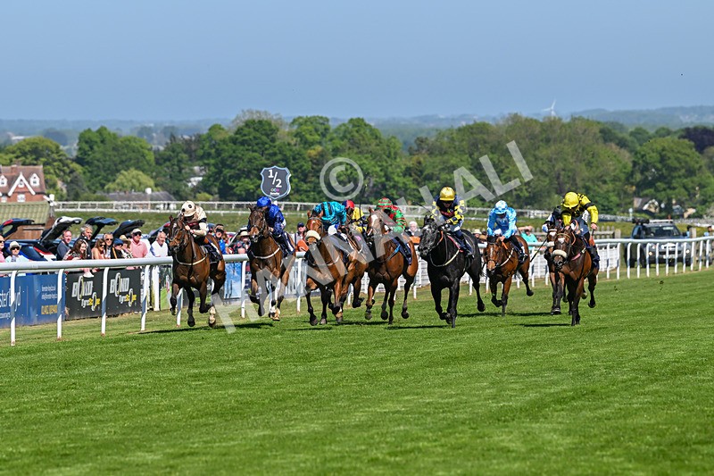 130525-Race 3-Ingleby Archie-9763 - Race 3