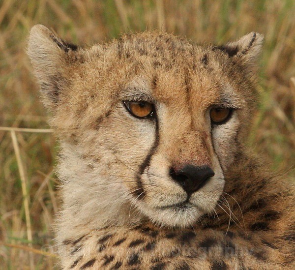  - KENYA