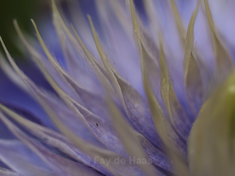  - Nature's Wonders