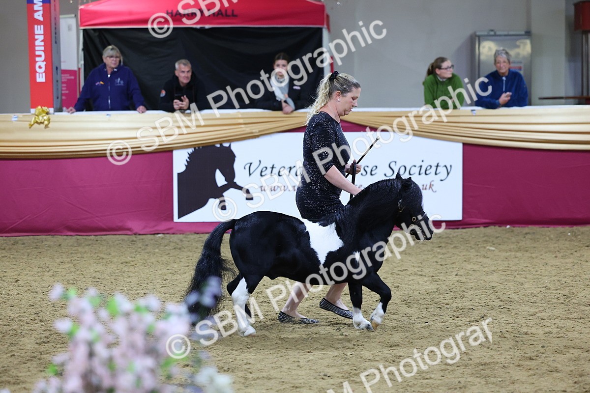 SBM_19230 - Class J Coloured Champ