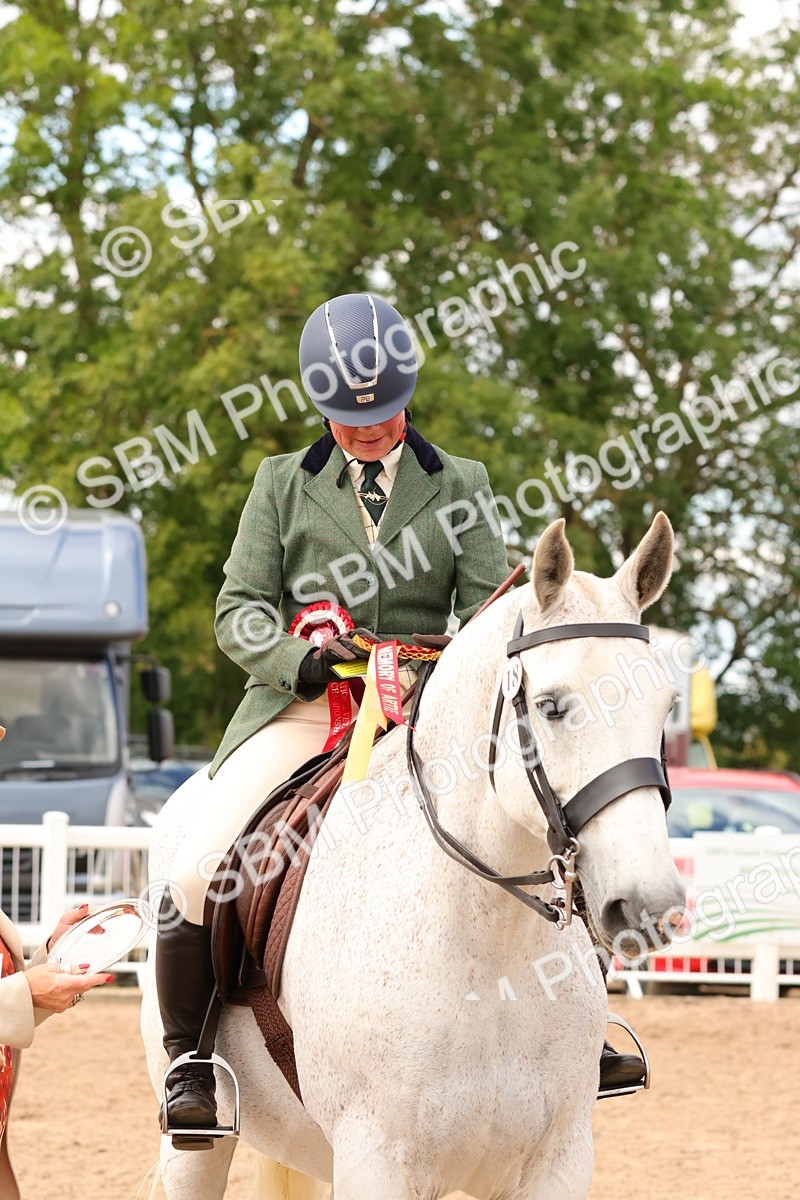 SBM_15578 - Class 214 - Ridden Show Cob