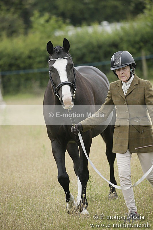 B230619-0231 - Bourne Valley Riding Club Summer Show 23/06/19