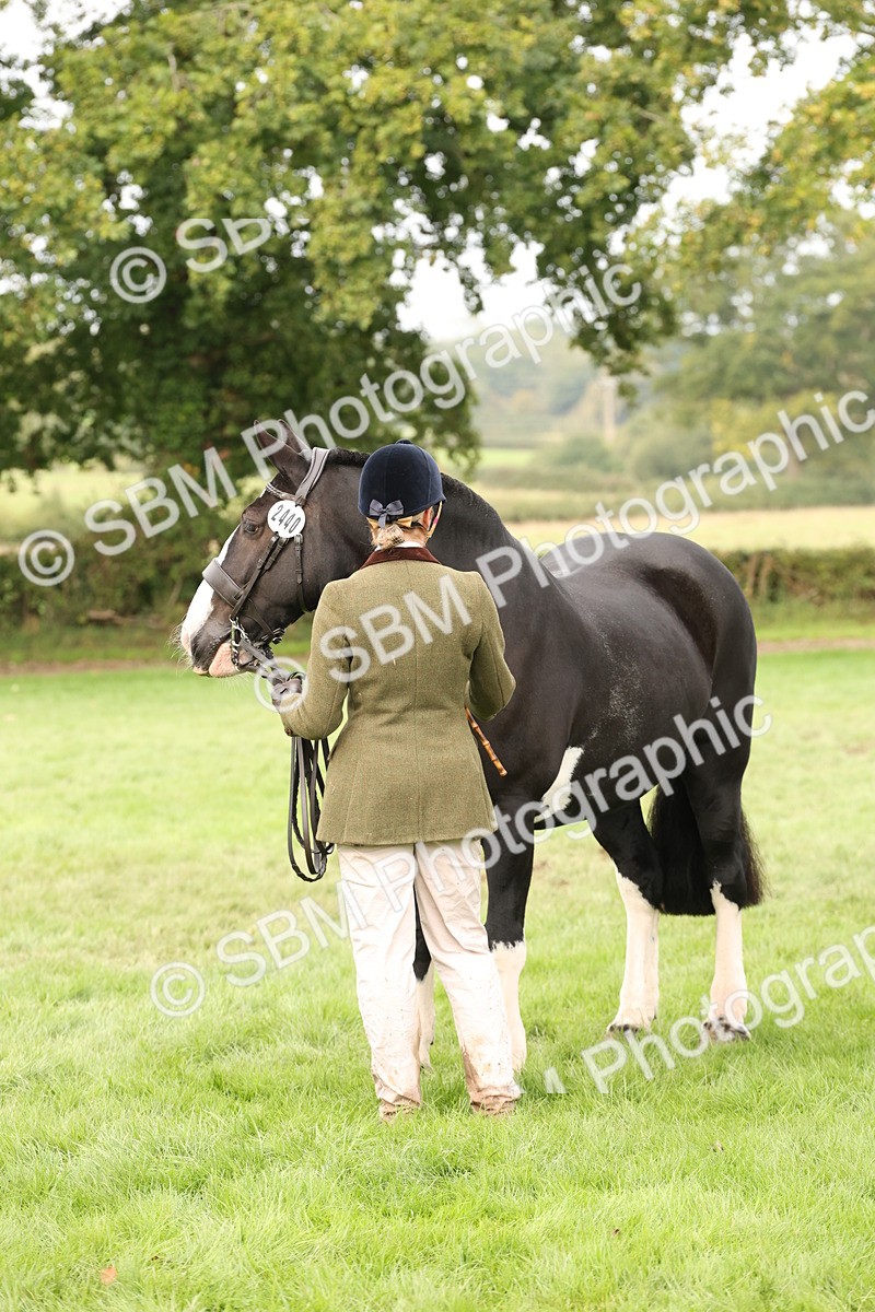 SBM_57505 - S56 - Show Cob in Hand