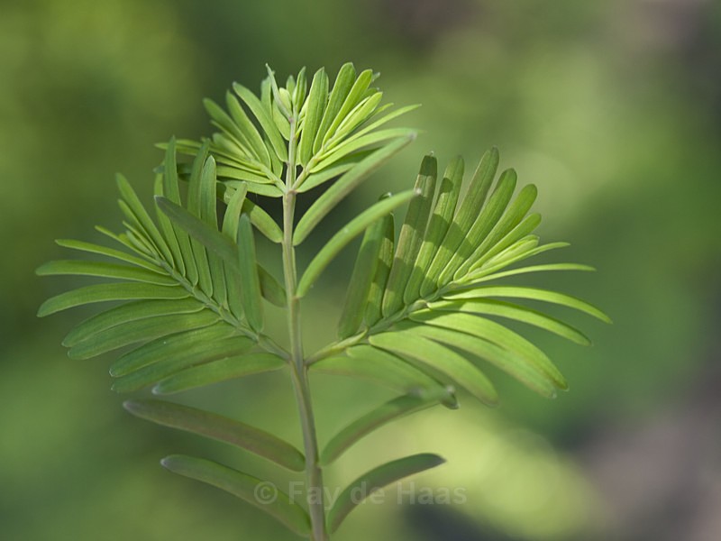  - Nature's Wonders