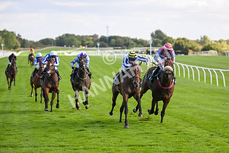 100924-Race 4-Scarboroughwarning-0341 - Race 4