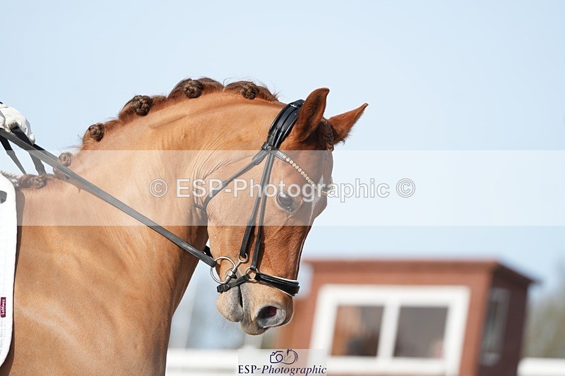 260214-133211-04233 - 123-Avery.Maude