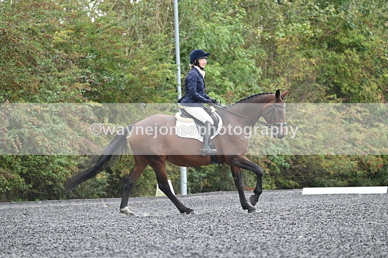 WJ7_4116 - Time 11:43 to 12:09