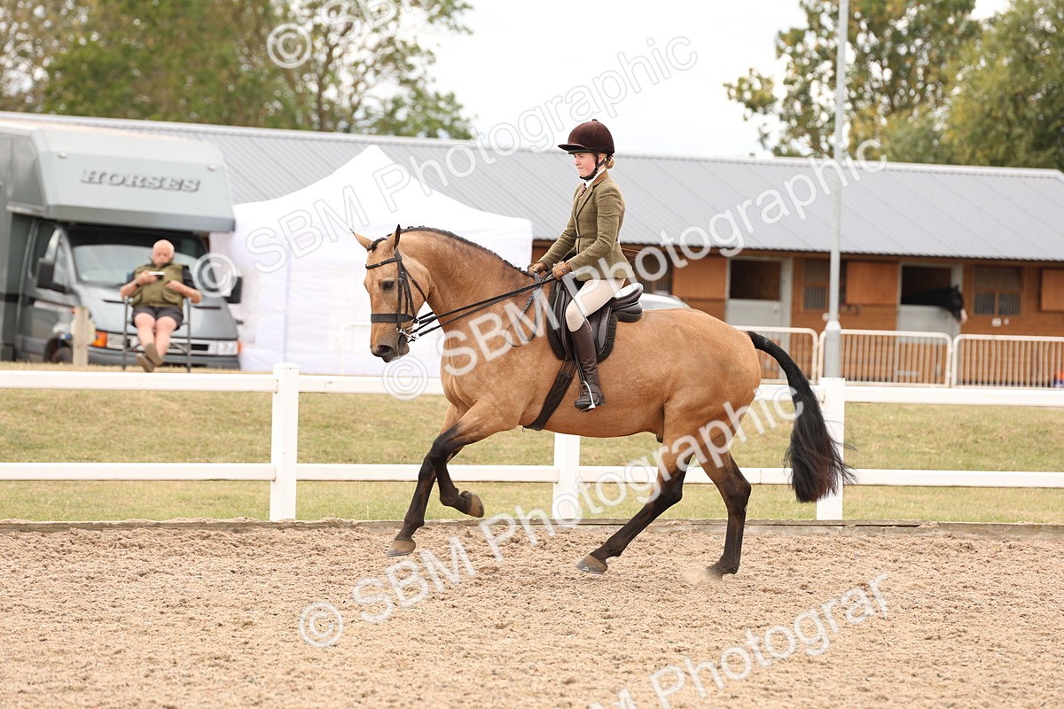 SBM_17250 - Class 213 - Ridden Hunter - Large