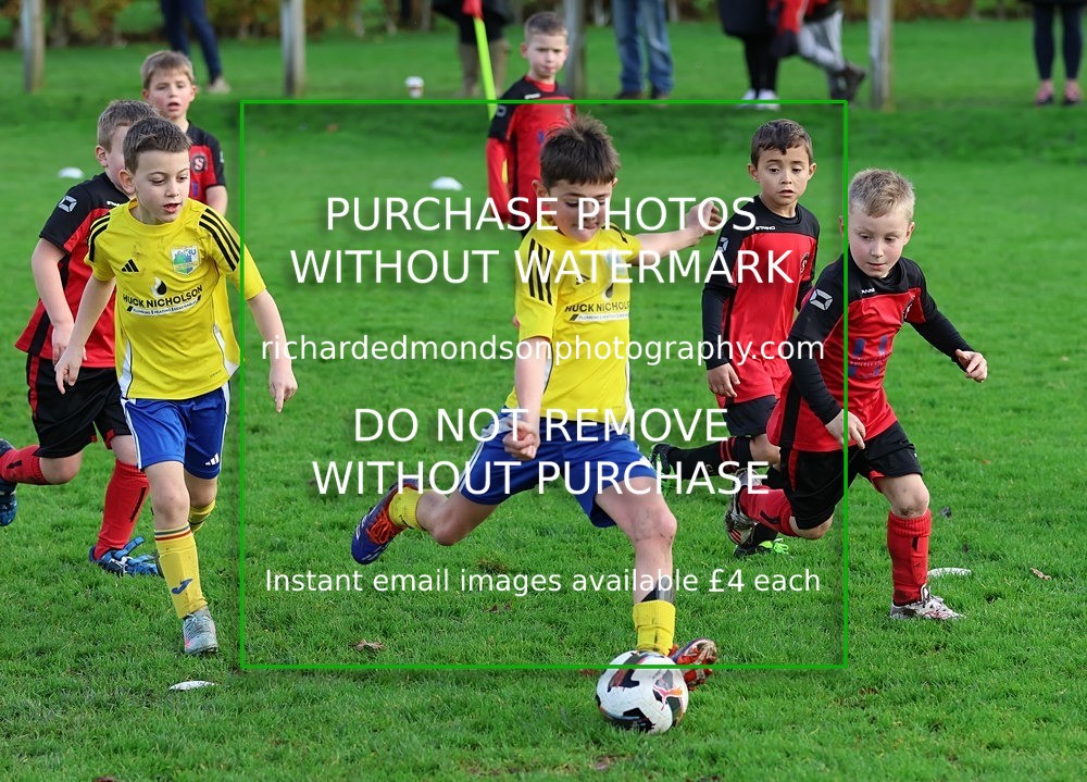 533A3141 - Kendal Utd U8's vs Sedbergh Wanderers Juniors U8 (8/11/25)