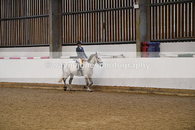 WJ5_7709 - Class 13 Ridden Part Breed